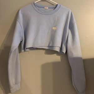 Cropped Powder blue brandy sweatshirt